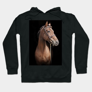 Mousquetaire Hoodie